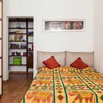 Rent 2 bedroom apartment of 70 m² in Roma