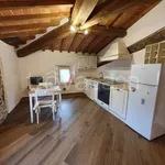 Rent 2 bedroom apartment of 35 m² in Larciano