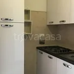 Rent 3 bedroom apartment of 62 m² in Bologna