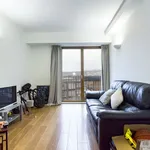 Rent 1 bedroom flat in Brighton