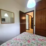 Rent 2 bedroom apartment of 35 m² in Roma