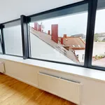 Pronajměte si 2 ložnic/e byt o rozloze 151 m² v Pelhřimov