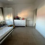 Rent 3 bedroom apartment of 80 m² in Vibo Valentia