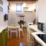 Rent 3 bedroom apartment of 75 m² in Pisa