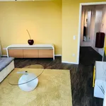 Rent 1 bedroom apartment of 60 m² in Dresden