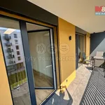 Rent 2 bedroom apartment of 59 m² in České Budějovice