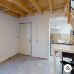 Rent 1 bedroom apartment of 20 m² in Albi