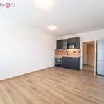 Rent 1 bedroom apartment of 26 m² in Praha