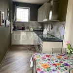 Rent 1 bedroom apartment of 42 m² in Fiorenzuola d'Arda