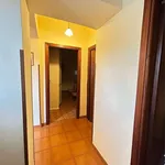 Rent 4 bedroom apartment of 95 m² in Terni