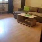 Rent 3 bedroom apartment of 64 m² in Łódź