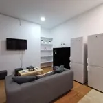 Rent 11 bedroom apartment in Madrid