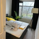 Huur 4 slaapkamer appartement van 80 m² in Den Haag