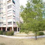 Alquilo 4 dormitorio apartamento de 110 m² en Alicante']