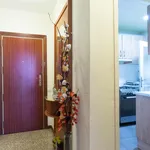 Alquilar 4 dormitorio apartamento en Barcelona