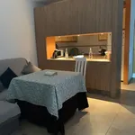 Alquilo 1 dormitorio apartamento de 60 m² en Nuevo)