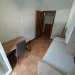 Rent 4 bedroom apartment of 60 m² in Ferrara