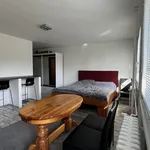 Rent 1 bedroom apartment in Kolín