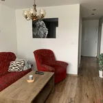 Rent 3 bedroom apartment of 66 m² in Ostrava