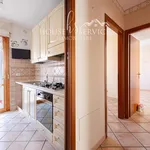 Rent 1 bedroom apartment of 24 m² in Rome