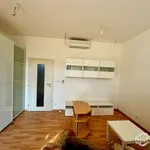 Rent 1 bedroom apartment of 45 m² in Brno