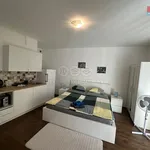 Rent 1 bedroom apartment of 25 m² in Praha