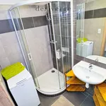 Rent 1 bedroom apartment in Uherské Hradiště