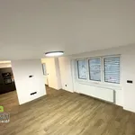 Rent 2 bedroom apartment of 78 m² in Náchod