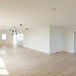 Rent 3 bedroom apartment of 183 m² in Kortrijk