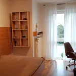 Rent 3 bedroom apartment of 84 m² in Bünde