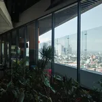 Rent 2 bedroom apartment of 88 m² in Ciudad de México