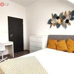 Rent 4 bedroom apartment of 73 m² in Nížkovice