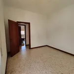 Rent 3 bedroom apartment of 180 m² in rome