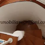 Rent 4 bedroom apartment of 100 m² in Bologna