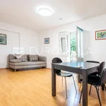 Rent 1 bedroom apartment of 40 m² in Strožanac Donji