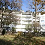 Rent 2 bedroom apartment of 50 m² in Basel