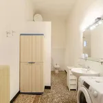 Rent 1 bedroom apartment in genoa