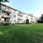 Rent 1 bedroom apartment of 52 m² in Krefeld