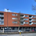 Huur 3 slaapkamer appartement van 59 m² in Welgelegen