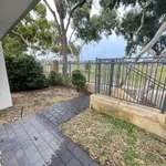 Rent 4 bedroom house in SINGLETON