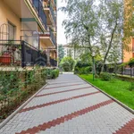 Rent 2 bedroom apartment of 55 m² in Milano