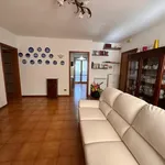 Rent 5 bedroom apartment of 130 m² in Massa