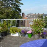 Rent 2 bedroom apartment of 65 m² in Haarlem