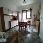 Rent 2 bedroom apartment of 50 m² in Turin