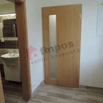 Rent 3 bedroom apartment in Hradec Králové