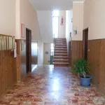 Rent 2 bedroom apartment of 50 m² in Livorno Ferraris