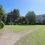 Rent 5 bedroom apartment of 114 m² in Chemnitz