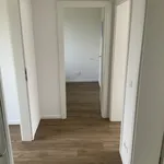 Miete 2 Schlafzimmer haus von 51 m² in Remscheid