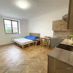 Rent 1 bedroom apartment in Šternberk