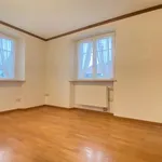  appartement avec 1 chambre(s) en location à Wintzenbach